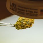 Cannabis delivery in Nuremberg image_141.jpg