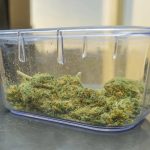 Buy marijuana in Venezia image_169.jpg