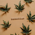 Buy marijuana in Malaga image_179.jpg