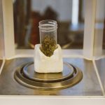 Marijuana delivery in Dresden image_188.jpg