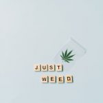 Marijuana shop in Birmingham image_203.jpg