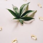 Marijuana store in Amsterdam image_224.jpg