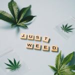 Cannabis store in Karlsruhe image_246.jpg