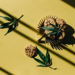 THC weed in Vilnius image_417.jpg