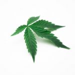 Marijuana shop in Espoo image_546.jpg