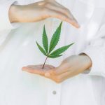 Buy THC marijuana in Cyprus image_547.jpg