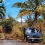 Buy cannabis in Birmingham image_611.jpg