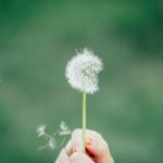 Buy weed in Pardubice image_636.jpg