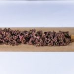 Cannabis store in Bremen image_658.jpg