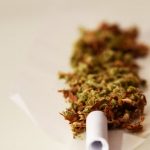 Marijuana delivery in Pardubice image_679.jpg