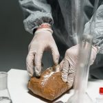 Cannabis shop in Rome image_73.jpg