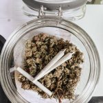 Marijuana shop in Gdansk image_732.jpg