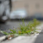 Buy hashish in Sofia image_761.jpg