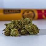 Buy the weed in Nuremberg image_770.jpg