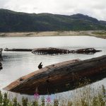 Marijuana delivery in Valladolid image_778.jpg