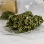 THC weed in Seville image_788.jpg