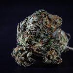 Weed delivery in Dublin image_817.jpg