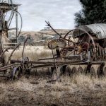 Buy the weed in Czech Republic image_871.jpg