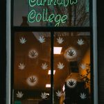 Cannabis store in Porto image_876.jpg